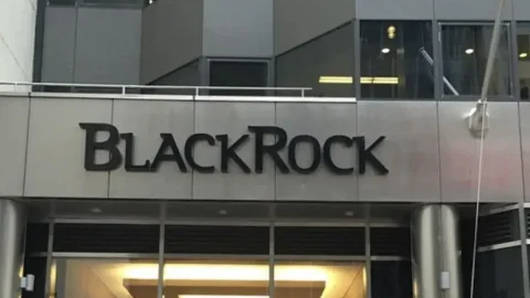 BlackRock отметила изменение настроений инвесторов вокруг биткоина