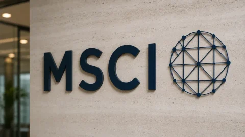 MSCI рассматривает возможность исключения криптоказначейств из глобальных индексов
