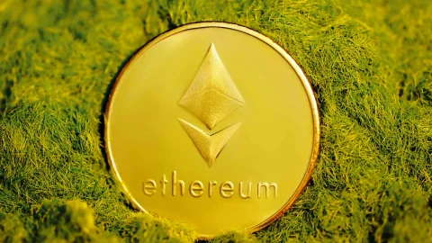Компания Bitmine Immersion Technologies пополнила корпоративные резервы Ethereum