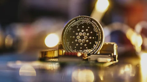 Чарльз Хоскинсон назвал способы увеличения TVL и активности в сети Cardano