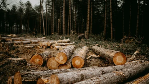 Alcoa to pay $36 million in liabilities for land clearing in Australia