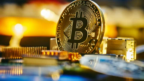 Google Trends зафиксировала снижение поискового интереса к биткоину в США