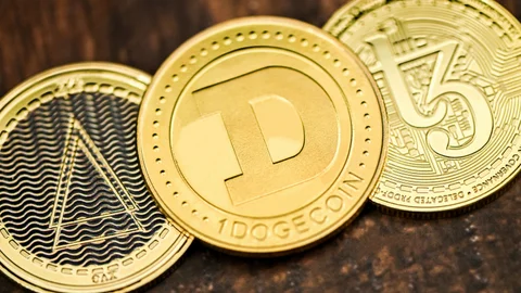 Директор Bitwise Хоуган: сезон альткоинов меняется