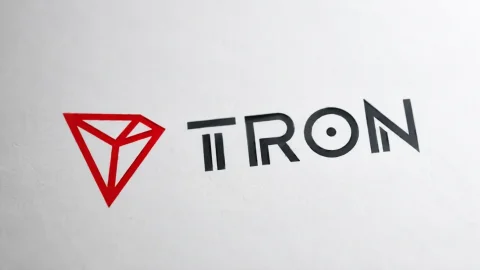 Tron accounts for more than 50% of the global volume of small transfers in USDT