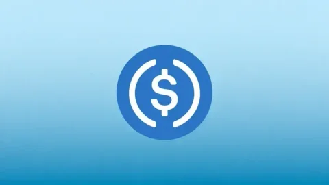 Circle: USDC – единственный стейблкоин из топ-10, соответствующий правилам MiCA