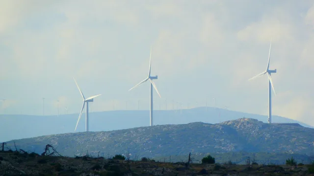 ESG after the boom: Rollback or Reset?