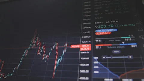 Активность в сегменте RWA за месяц выросла на 80%