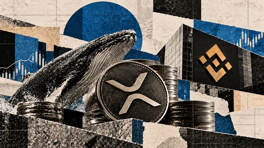 زيادة حجم عملة XRP من قبل حامليها الكبار على Binance