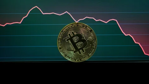Неактивный с 2011 года биткоин-кошелек перевел 50 BTC
