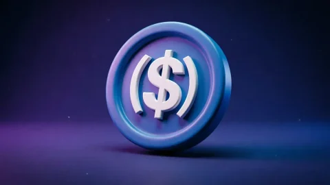 USDC опережает USDT по объему транзакций: доля Circle достигла 70% в первом полугодии 2026 года