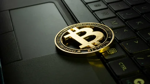 Sosovalue: биткоин-ETF привлекли $170 млн за торговую сессию