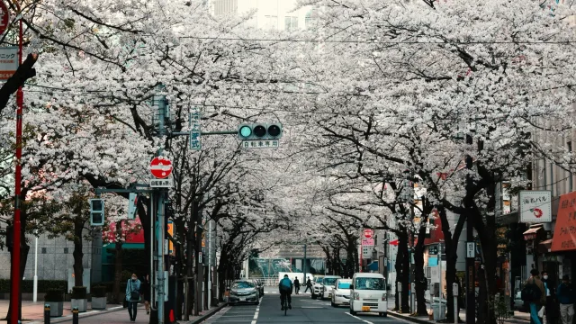 SBI Holdings and Solana Foundation to launch a large-scale oncheen market in Japan