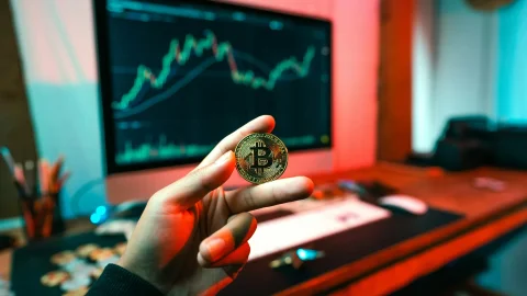 В Bitwise назвали биткоин недооцененным на фоне бума акций ИИ-компаний