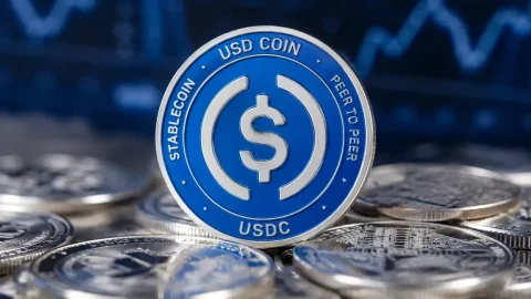 Международный банк Standard Chartered открыл институционалам доступ к выпуску USDC