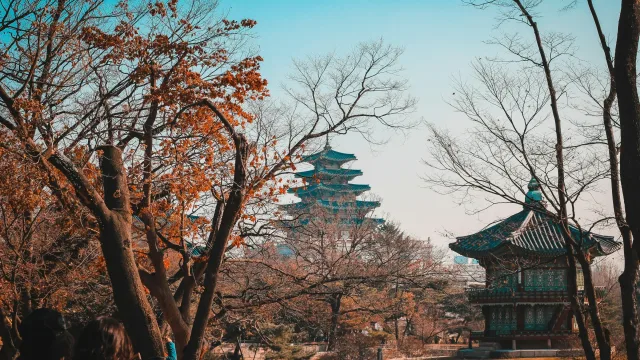 South Korean exchange Bithumb has presented a roadmap for preparing for an IPO